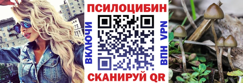 Псилоцибиновые грибы мухоморы Губаха