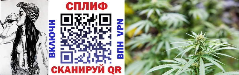 МЕГА ссылка  купить закладку  Губаха  Бошки Шишки THC 21% 